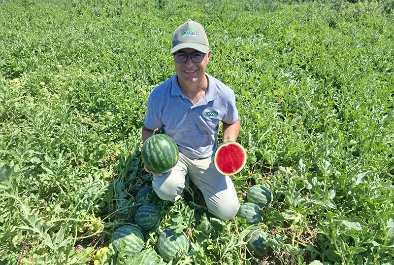 Marco Landi, Area Manager di Cora Seeds per il Centro e Sud Italia